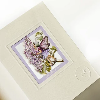 Orgonatündér  ablakos lap Orgonatündér  ablakos lap