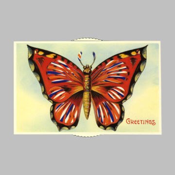 Vörös pillangó  változó képeslap