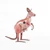 Kangaroo mother with her child tin toy